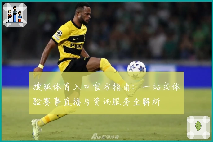 搜狐体育入口官方指南：一站式体验赛事直播与资讯服务全解析
