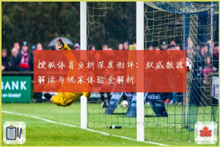 搜狐体育分析深度测评：权威数据解读与玩家体验全解析