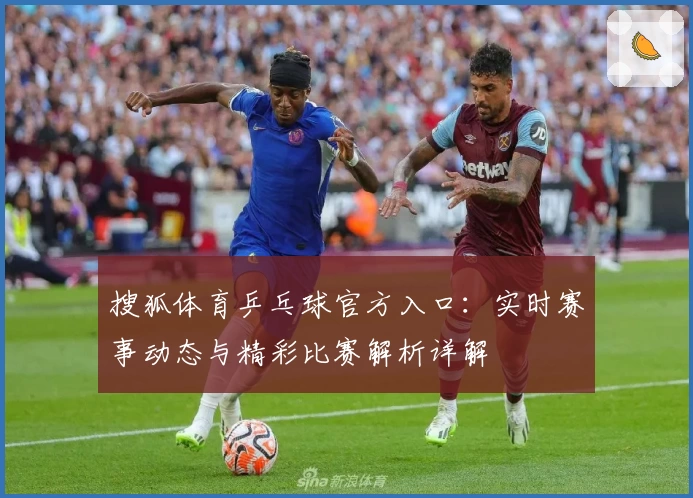 搜狐体育乒乓球官方入口：实时赛事动态与精彩比赛解析详解