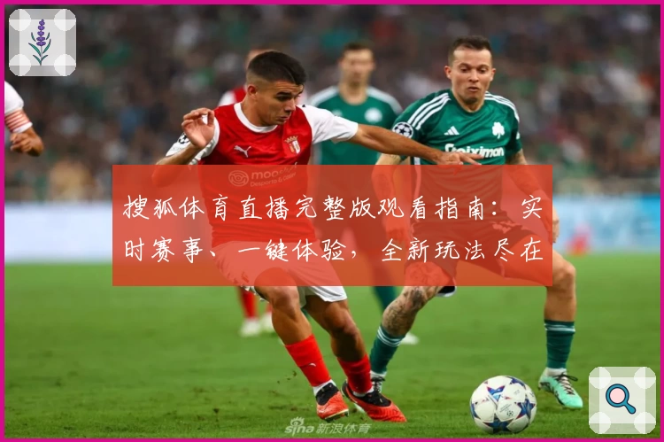 搜狐体育直播完整版观看指南：实时赛事、一键体验，全新玩法尽在这里