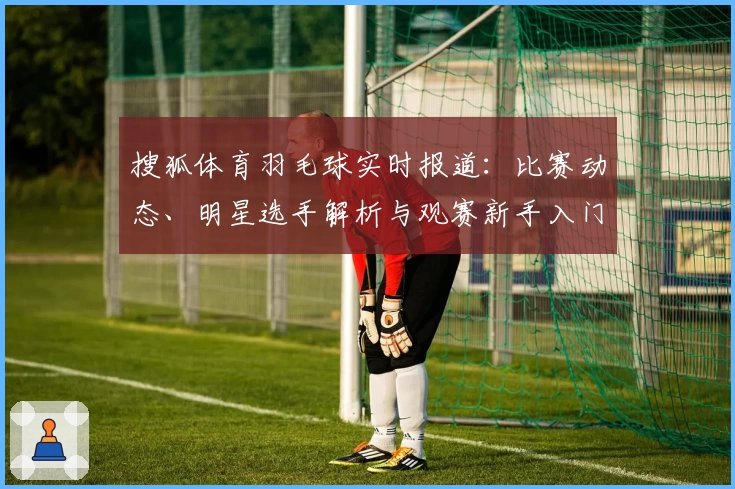 搜狐体育羽毛球实时报道：比赛动态、明星选手解析与观赛新手入门指南