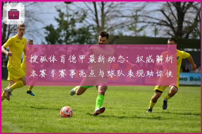 搜狐体育德甲最新动态:权威解析本赛季赛事亮点与球队表现助你快速入门