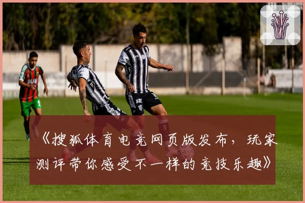 《搜狐体育电竞网页版发布,玩家测评带你感受不一样的竞技乐趣》