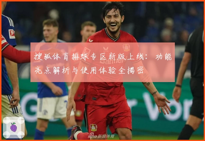 搜狐体育排球专区新版上线：功能亮点解析与使用体验全揭密