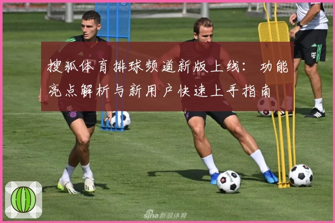 搜狐体育排球频道新版上线：功能亮点解析与新用户快速上手指南